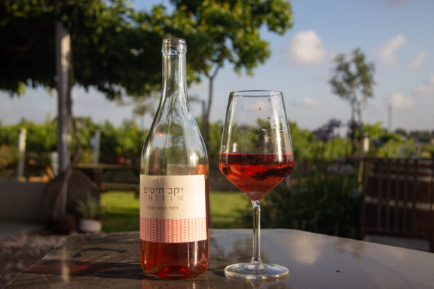 רוזה עם כוס