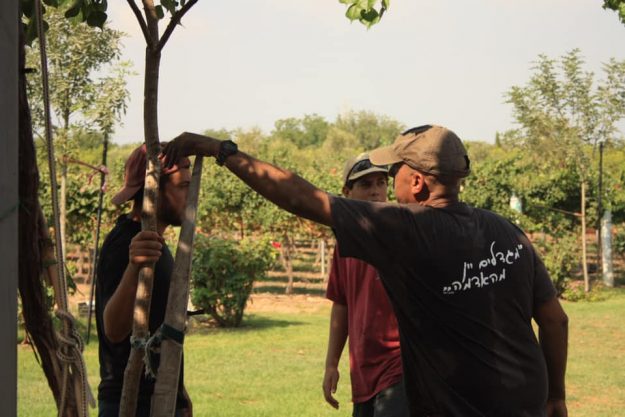 נחים בזמן הבציר